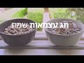 אתם מפצחים יותר טוב איך לפצח גרעינים בקלאס