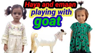 Haya and  emaan playing goat