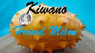 Kiwano or Horned Melon -Unusual food # 38