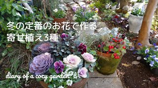 冬のお庭を明るくする葉ボタン、ビオラ、ネメシアなどで作る寄せ植え／素敵なお花は毎日眺めたくなります♪／ガーデニング／お庭づくり／小さな庭