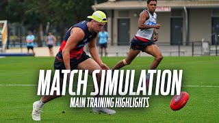 Match Simulation Highlights