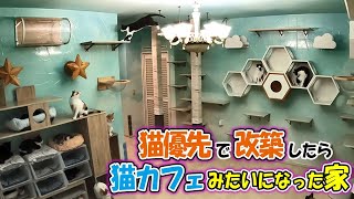 猫が住みやすい家を目指したらこんな家になった【ねこ自慢 】