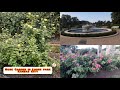 Rose Garden in Loose Park, Kansas #RoseGarden|Colors In The Rose Garden|Best fountain Rose garden