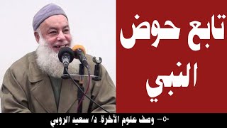 050- تابع حوض النبي (وصف علوم الآخرة). د/ سعيد الروبي