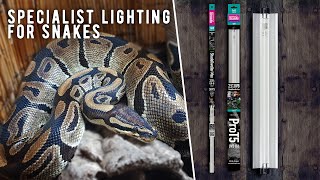 ShadeDweller-Max, At Long Last a UV-B Lamp Designed for Snakes!!