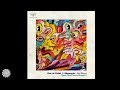 Out of Orbit & Shpongle - No Disco