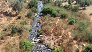 מהשירותים למי השתייה: מסע בעקבות השפכים ביהודה ושומרון