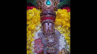 #veeraragavan #perumal #perumaltemple #perumaltraditionalsong #perumal_kalyanam