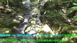 福岡市唯一の【野河内渓谷】マイナスイオンたっぷりで自然が満喫できて川遊びも。清流といろんな形の岩も楽しめる2022The only [Nogochi Valley] in Fukuoka City