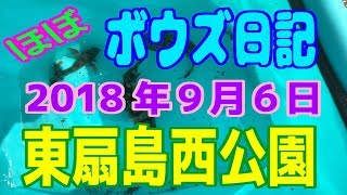 ボウズ日記8（東扇島西公園）※2018年9月6日