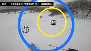 【スキー】コブ斜面において重要なポイント(目線の先行)/コブ滑りたい人は参考にしてください