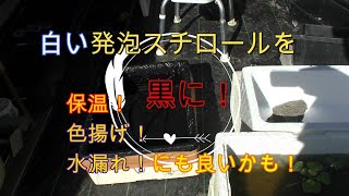 【メダカ】白い発泡スチロールを黒に!保温！色揚げ！水漏れ防止！