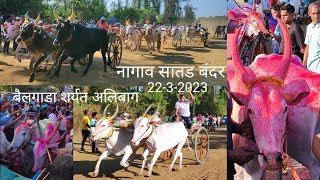 गुढीपाडव्या निम्मिताने नागाव सातड बंदर येथे बैलगाड्यांचा थरार alibag nagav bandar bailgadi sharyat