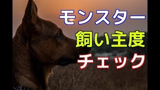 【愛犬のための知識】モンスター飼い主度チェック【犬を知る】