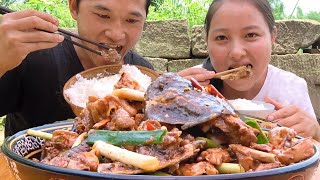 第一次吃甲鱼烧鸡，甲鱼的鲜与鸡的香结合，麻辣鲜香能吃几碗饭！【刘大瓜】