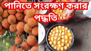 সুপারি কিভাবে পানিতে সংরক্ষণ করবেন।How to store betel nut in water। মিষ্টি সুপারি। #viral #farming