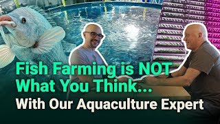 Fish Farming isn't what you think...