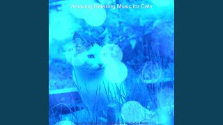 Extraordinary Music for Kittens