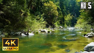 4K Escape to Eden 🌿 - Breathtaking Nature Relaxation with Crystal Clear River Sounds