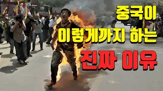 하나의 중국을 위한 희생양_신장 위구르, 티베트 편