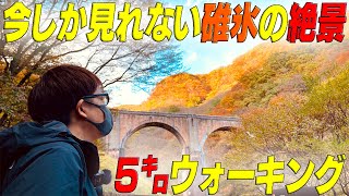 今しか見れない《紅葉》絶景碓氷!!　横川駅からアプトの道を５㌔歩く