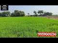 2 acre 20 gunta agriculture land for sale in siddipet bour openwell full water very low price