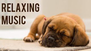 Relaxing music dogs and cats | Pet music therapy relaxing music for dogs and cats