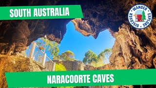 🌿 Naracoorte Caves ~ Discover South Australia