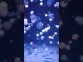 京都水族館のクラゲさん