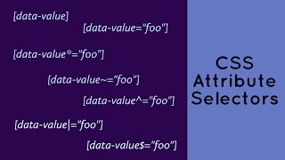 CSS Attribute Selectors Explained With Examples !