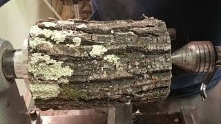 Black Walnut dry vase, cracks and sap wood 🪵 👌- Woodturning