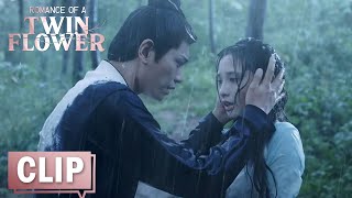 EP30 CLIP 宁钰轩终于找到季曼，却得知她是仇人之女【春闺梦里人 Romance of a Twin Flower】