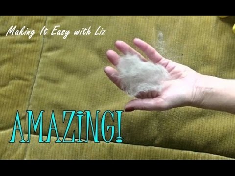AMAZING! The Absolute Best Way to Remove Pet Hair AMAZING! The Absolute Best Way to Remove Pet Hair