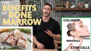 Why Eat Bone Marrow? Benefits of Collagen, Minerals, Fat \u0026 Stem Cells in Marrow by Thomas DeLauer