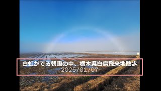 白虹がでる朝靄の中、栃木県白鳥飛来地散歩