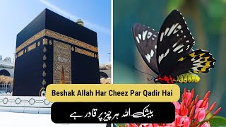 Allah Ki Qudrat | Urdu Status | Islamic Whatsapp 4k Fullscreen Status Video