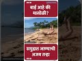 बाई आहे की मासोळी समुद्रात जाण्याची अजब तऱ्हा viralvideo maharashtra times