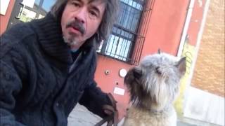 How to stop Puppy from nipping and biting ................Peter Caine dog and puppy training