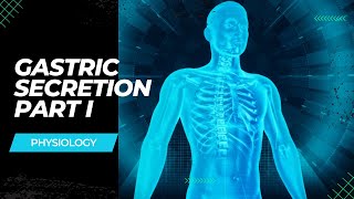 Gastric secretion - Part 1 (Tamil)