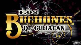 Los Buchones De Culiacan - La Firma Del Macho Prieto (Inedito Estudio 2010)