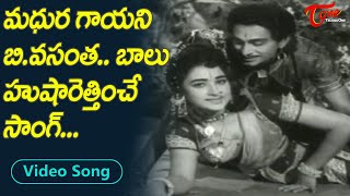 బి.వసంత, బాలు హుషారెత్తించే సాంగ్..| B.Vasantha, S.P.Balu Melodious folk Song | Old Telugu Songs