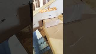 What is a Birdsmouth for Rafters? #diy #construction #homeimprovement