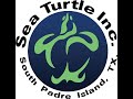 Let's Talk Turtles Live! Episode 75: Relocating Nests