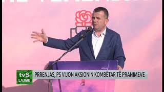 PRRENJAS, PS VIJON AKSIONIN KOMBËTAR TË PRANIMEVE