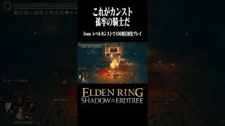 マナーが良くてよろしい　#エルデンリングDLC　#eldenring