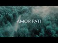 amor fati a arte de amar o que é sabedoria estoica