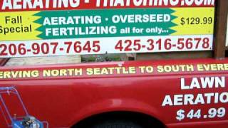 Topping Evergreen Trees Seattle Bothel Mill Creek Lynnwood Everett