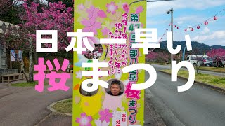 沖縄でやりたい100のこと『29.本部八重岳桜まつりへ行く!!』