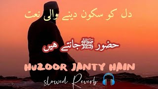 Huzoor Jante Hai || mind relaxing naat 💫🎧 | slowed+Reverb (lofi version) | Urdu nazam
