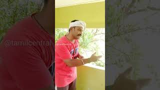 அட நாயே! நீ ஆடு தானடா ஒட்டுவ..? | @tamilcentral #comedy #shorts #trending  #goundamani